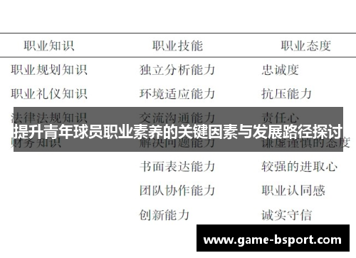 提升青年球员职业素养的关键因素与发展路径探讨