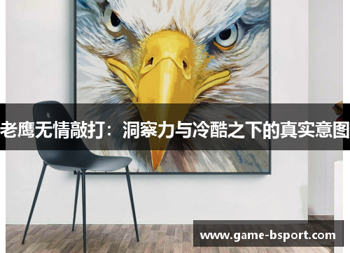 老鹰无情敲打:洞察力与冷酷之下的真实意图 老鹰无情敲打:洞察力与冷酷之下的真实意图