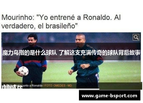 魔力鸟指的是什么球队 了解这支充满传奇的球队背后故事