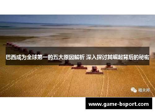 巴西成为全球第一的五大原因解析 深入探讨其崛起背后的秘密