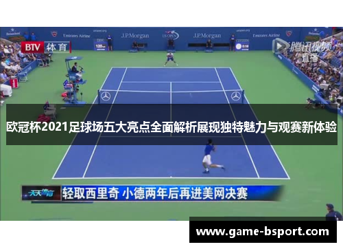 欧冠杯2021足球场五大亮点全面解析展现独特魅力与观赛新体验